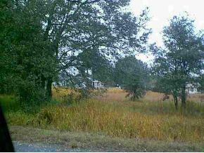 Cedar Ps, Ocala, FL 34472