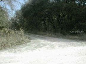NE 239 Null St., Orange Springs, FL 32134
