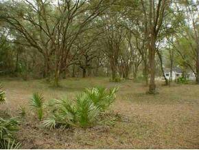 3100 SE 160 Ln Rd., Summerfield, FL 34491