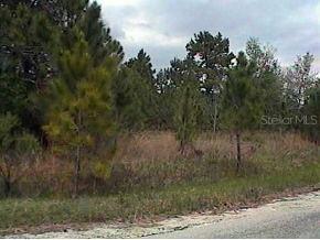 Pine Crs Ps, Ocala, FL 34472