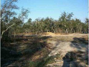 SW 125 Ter., Dunnellon, FL 34432