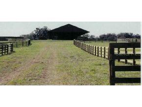 12304 NW 35 St., Ocala, FL 34482