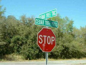 Cedar Tree Ps, Ocala, FL 34472