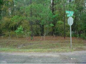 Locust Rn, Ocala, FL 34472