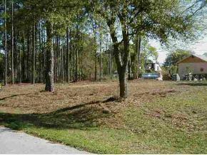 SE 99th Ave., Belleview, FL 34420