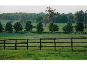 NW 114 St., Ocala, FL 34482