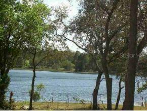 SE Fisher Wy Loop, Ocklawaha, FL 32179