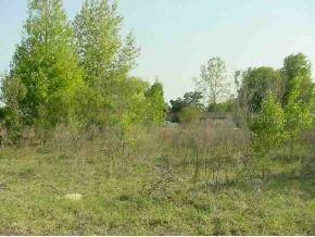 NW 5 St., Ocala, FL 34482