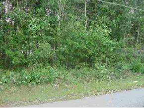 NW 61 Ct., Ocala, FL 34482