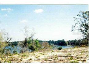 SE 103 Place Rd., Ocklawaha, FL 32179