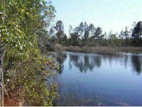 SE Fisher Loop, Ocala, FL 32179