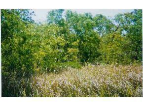 SE Hemlock Rad Dr., Ocala, FL 34472