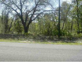 8862 Spartan Null Dr., Citrus Springs, FL 34432