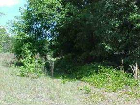 SE 142 St., Belleview, FL 34420