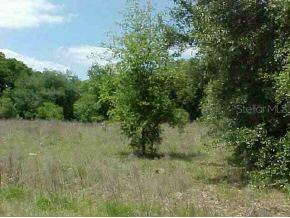 SE 143 Pl., Belleview, FL 34420