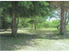 SE 137 Ln., Belleview, FL 34491