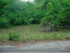 Sequoia Trc Dr., Ocklawaha, FL 32179