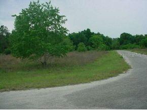 9 Fisher Rd., Ocklawaha, FL 32179