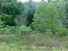 SE 140 Pl., Belleview, FL 34420