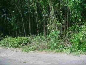 Bahia Ct Pl., Ocala, FL 34472