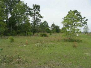 SW 100 St., Ocala, FL 34476