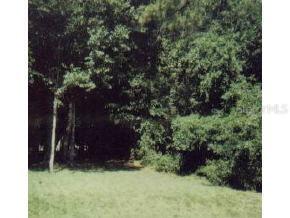 SE Teak Ln., Ocala, FL 34480