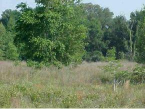 SE 143 Ln., Belleview, FL 34420