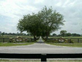6800 SW 65 Ave., Ocala, FL 34476