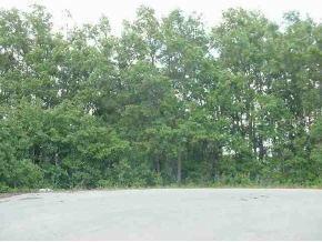 Pine Course Trc, Ocala, FL 34472