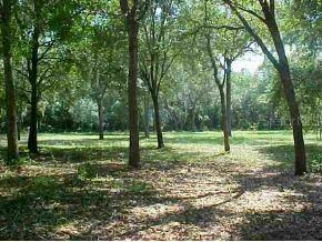 NE 107 Null Ave., Orange Springs, FL 32134