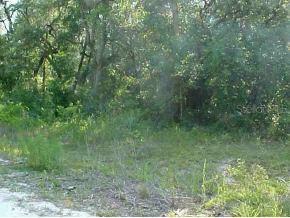 NE 110 Null Ct., Orange Springs, FL 32182