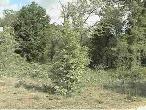 Highway 24, Archer, FL 32618