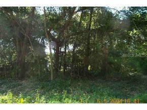 Locust Dr Ct., Ocala, FL 34472
