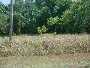 Lot 11 Willow Rd., Ocala, FL 34472
