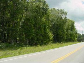 NE 175 St Rd., Citra, FL 32113