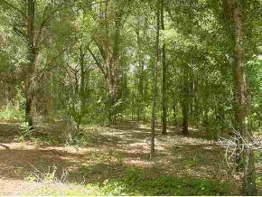 NE 175 St Rd., Citra, FL 32113