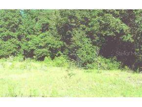 Locust Crs Ln., Ocala, FL 34472