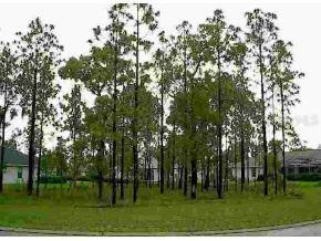 Lake Diamond Ave., Ocala, FL 34472