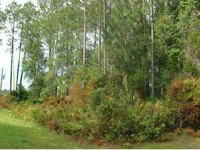 NE 101 Terr Null Rd., Orange Springs, FL 32182