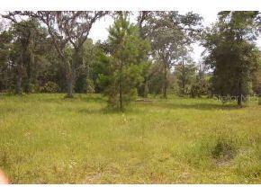 Highway 315 Null, Orange Springs, FL 32182