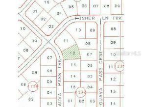 Guava Trk Pass, Ocala, FL 34472