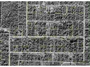 SW 20 Ln., Ocala, FL 34481