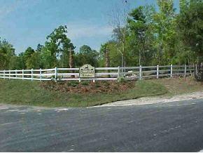 NE Highway 121, Williston, FL 32696