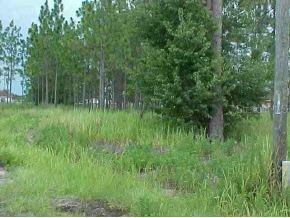 Pine Trace Way, Ocala, FL 34472