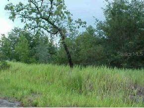 Dogwood Ps Tr., Ocala, FL 34472