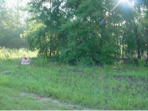SW 13 St., Ocala, FL 34481