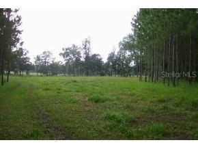 NW Highway 318, Williston, FL 32696