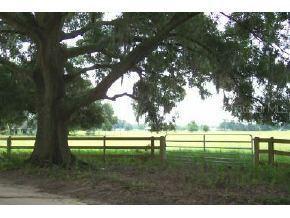 400 NE 140 St., Citra, FL 32113