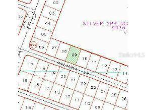 Malauka Ln., Ocklawaha, FL 32179
