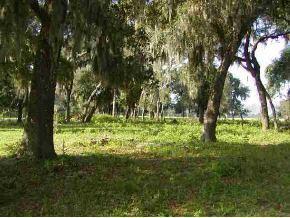 Cr 202/223, Oxford, FL 34484